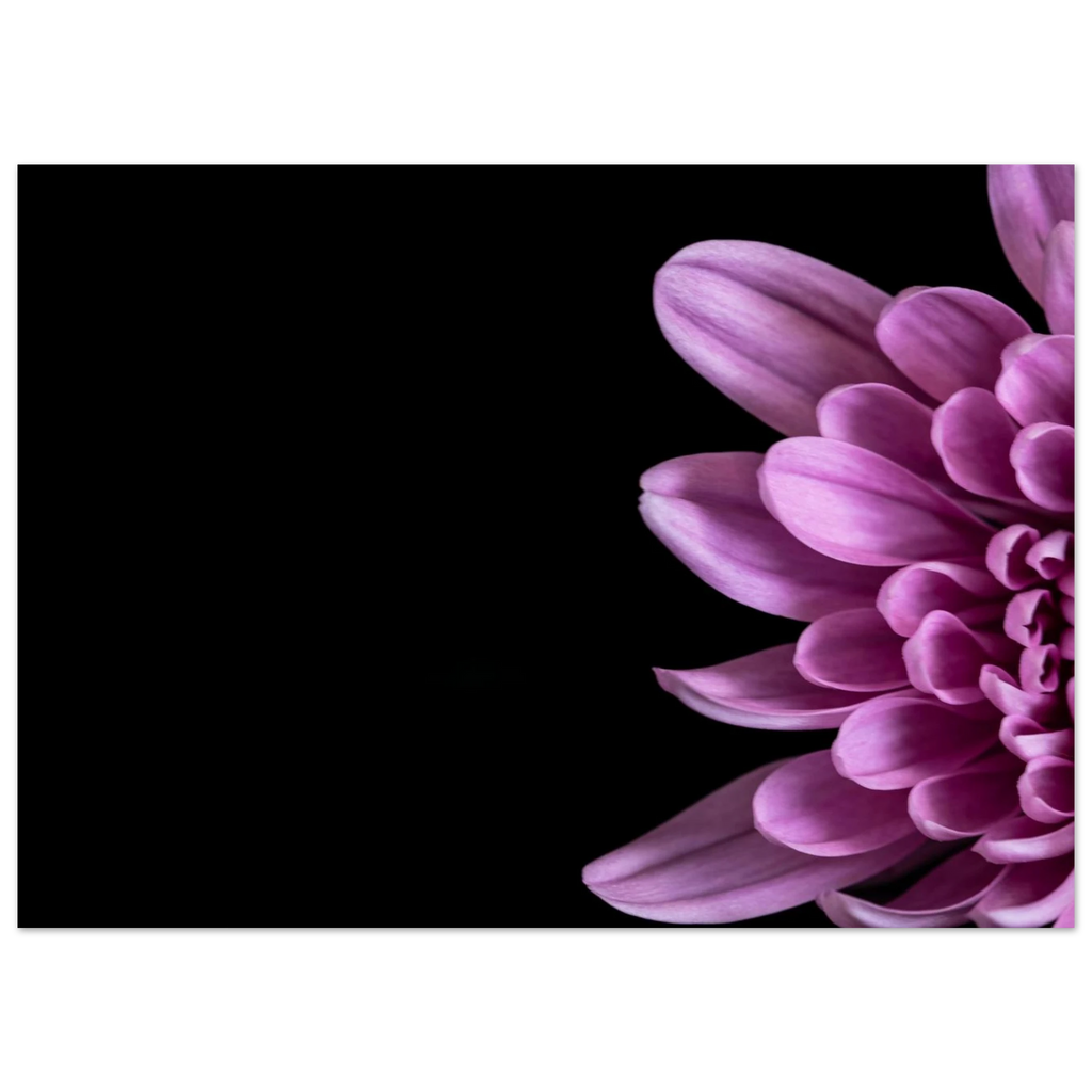 01fd41d1-279e-4def-a4e1-39c997bc9f6e