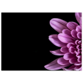 01fd41d1-279e-4def-a4e1-39c997bc9f6e