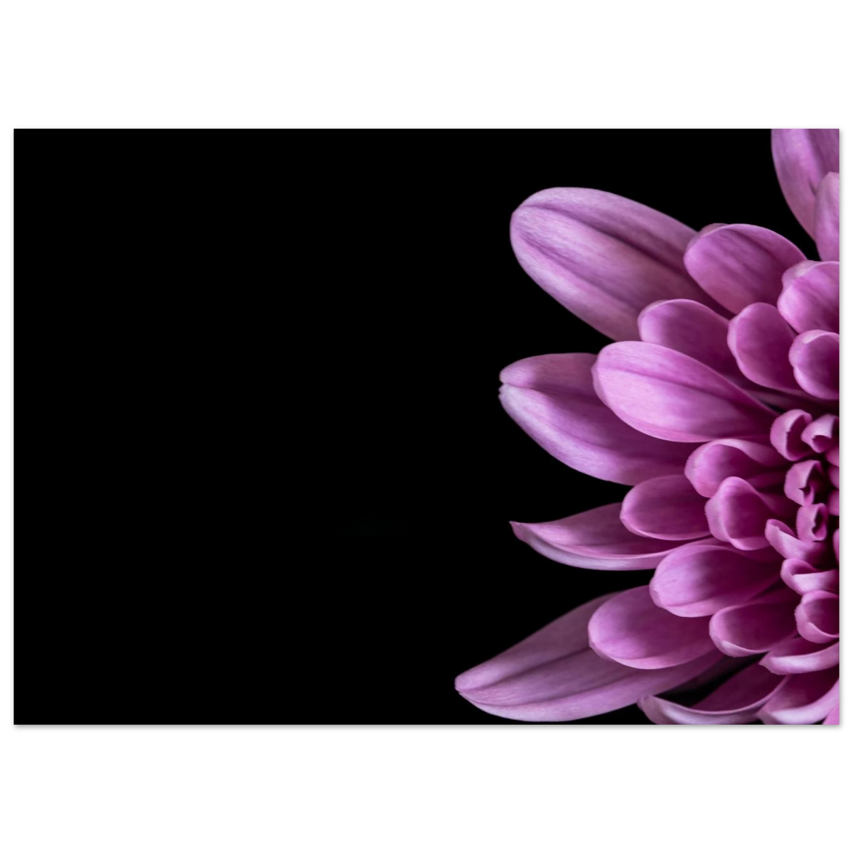 01fd41d1-279e-4def-a4e1-39c997bc9f6e