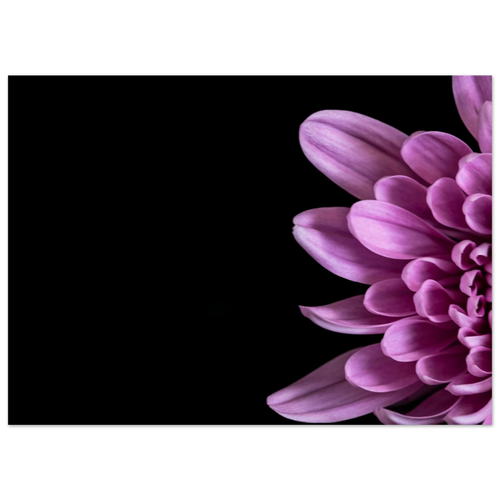 01fd41d1-279e-4def-a4e1-39c997bc9f6e