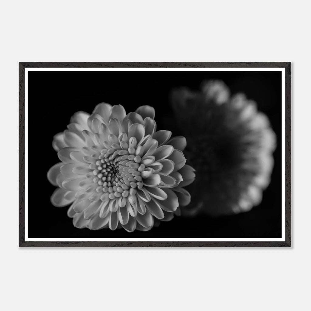 31ccaadf-7e83-419a-b6c5-1932eb3d407a
