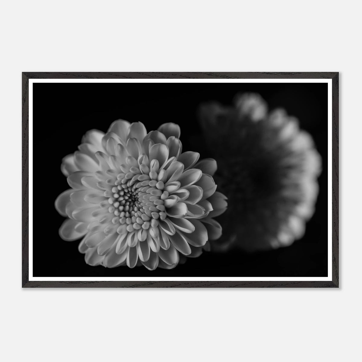 31ccaadf-7e83-419a-b6c5-1932eb3d407a