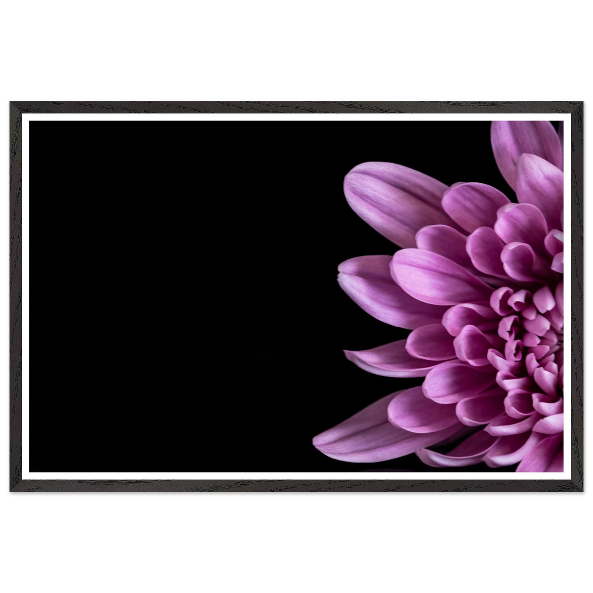 371db4b8-e93c-47dc-9747-a66439e2ba71
