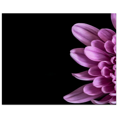 596f1452-1506-43ac-b650-998bfd67e446