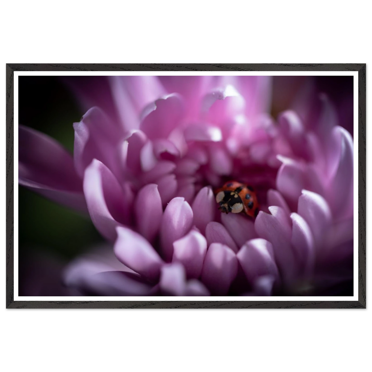 778ae189-b9ea-43da-8148-f82c8911b5fe