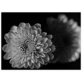 8a0e8eee-abba-4585-a6db-103e1903d0f2