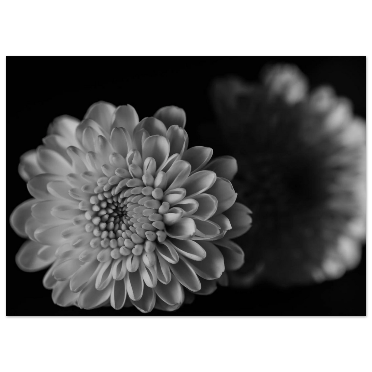 8a0e8eee-abba-4585-a6db-103e1903d0f2