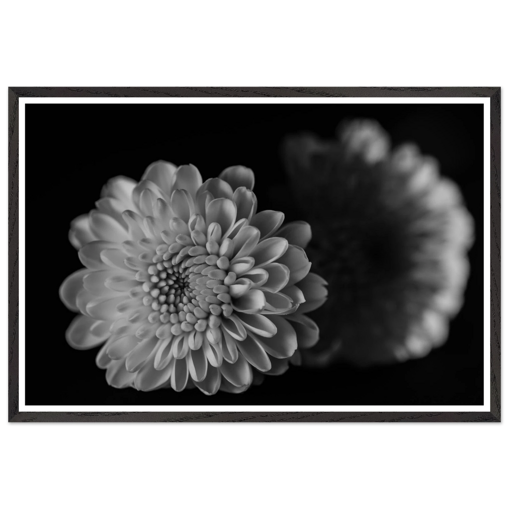 b1015686-ac64-45a9-a44a-f3e2b165f7db