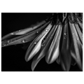 bb02cee2-6ab8-42bc-bcf2-4f3b968e1ada