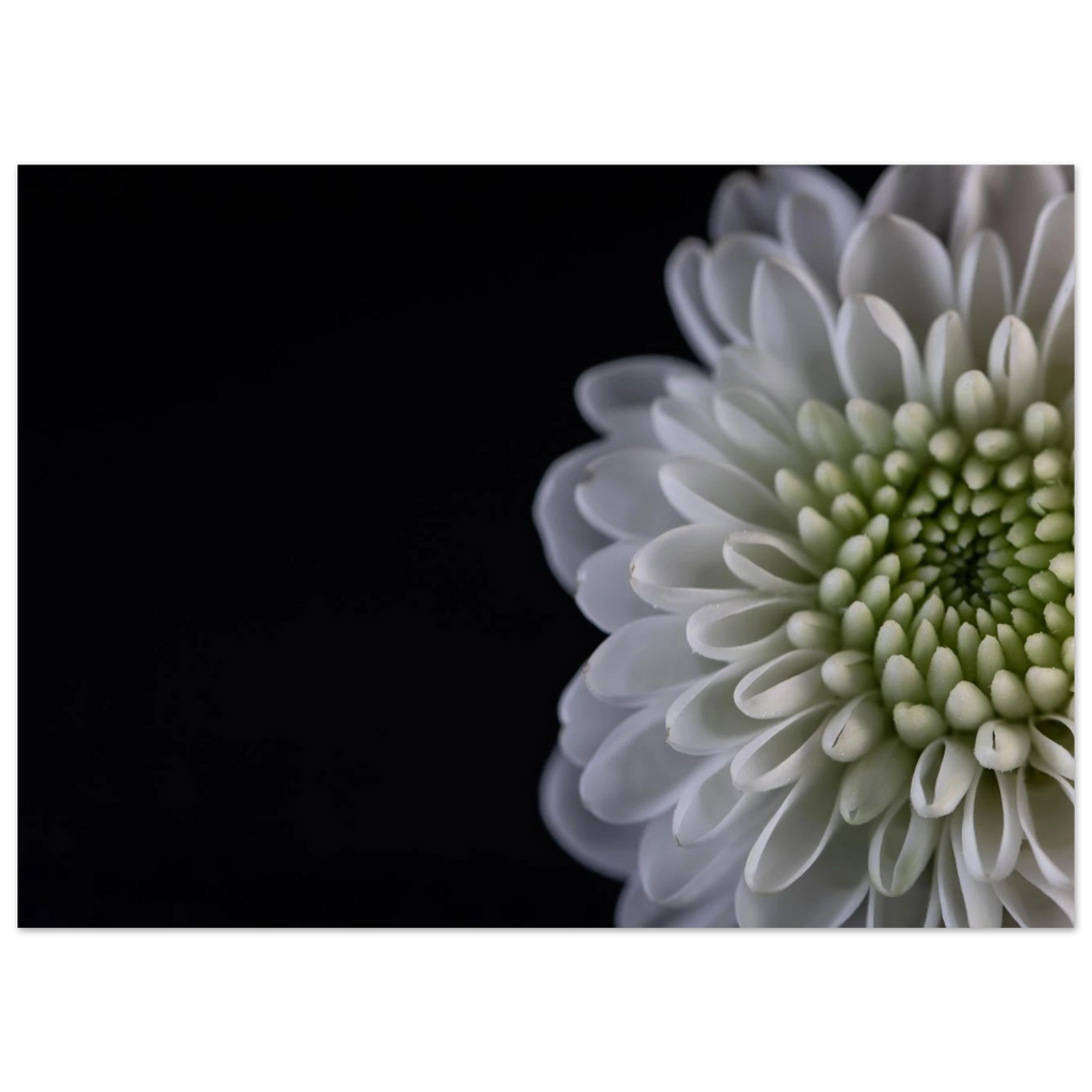 c9235207-55a2-4999-91a3-fe083ee9ed6d