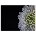 c9235207-55a2-4999-91a3-fe083ee9ed6d