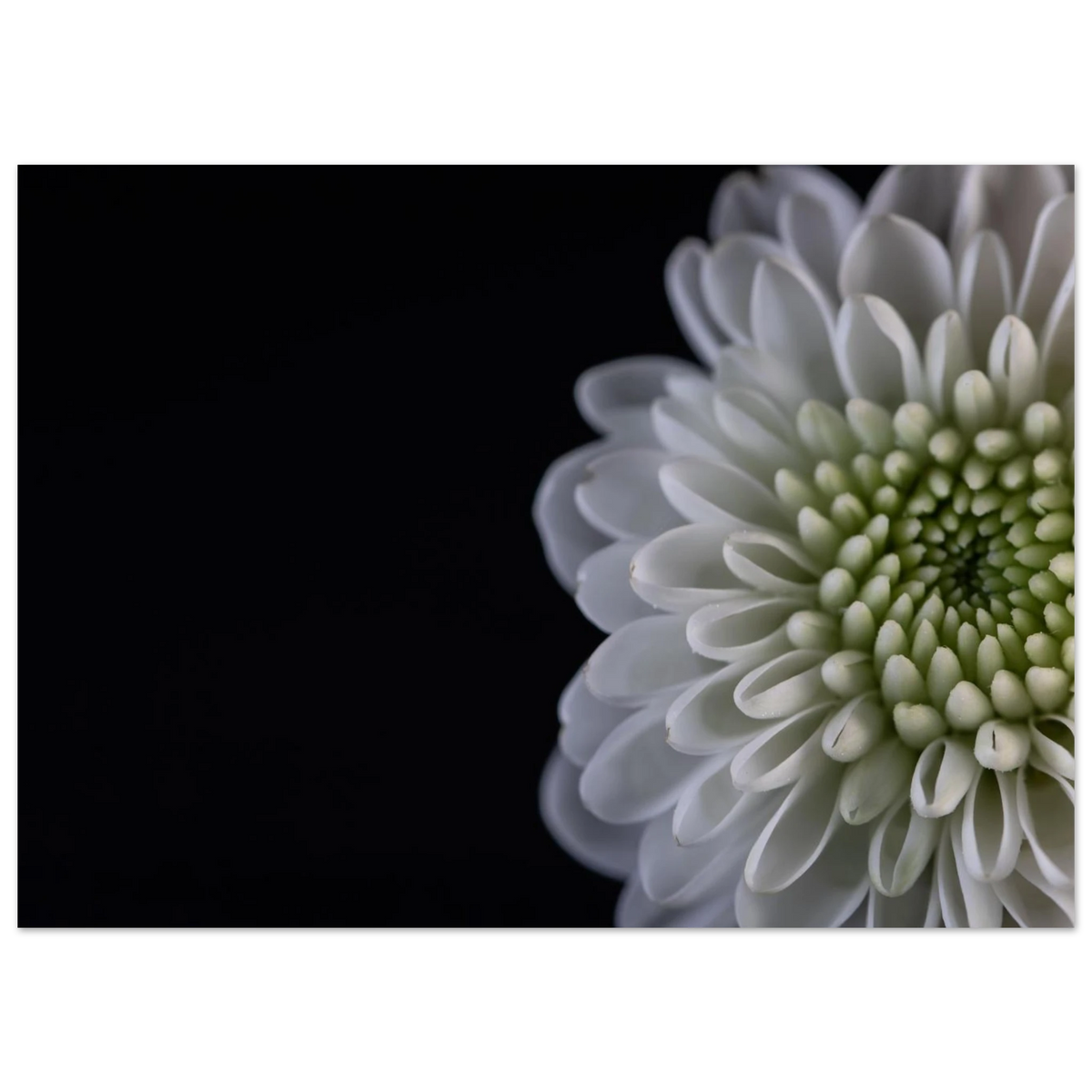 c9235207-55a2-4999-91a3-fe083ee9ed6d