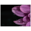 d8444491-4f84-412f-b5f8-036e18b6e1f0