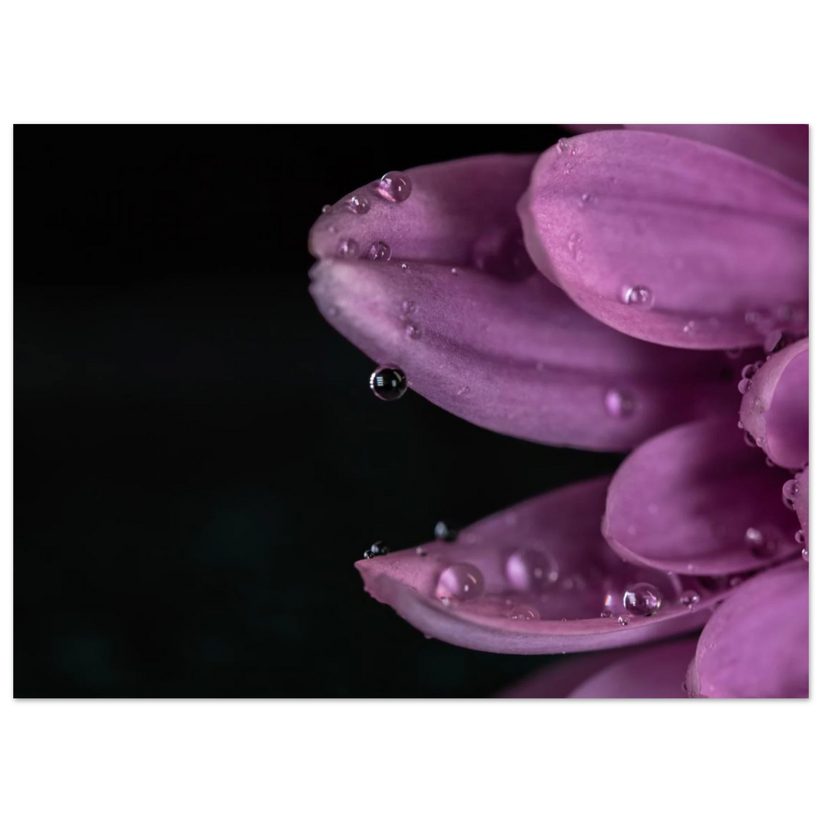 d8444491-4f84-412f-b5f8-036e18b6e1f0