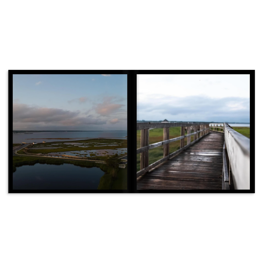 d8957c4f-bce8-4aaf-9780-280ed016ee71