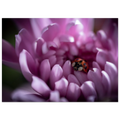 f536d5d4-7ad7-4e62-aa94-535d148fa7ca