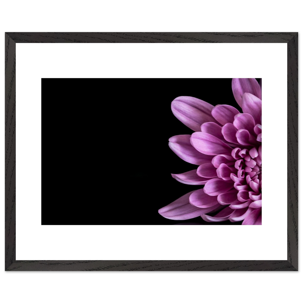 ffcd65ab-2cbc-4c15-a4bb-c887b944169f
